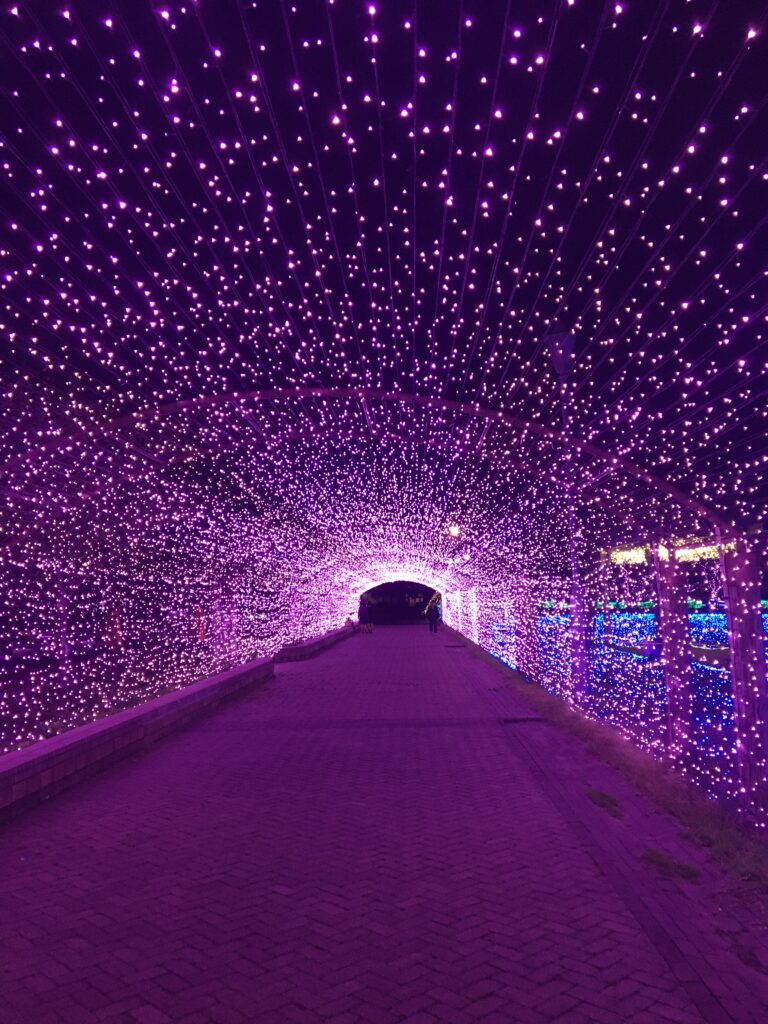 桜のイルミネーショントンネル